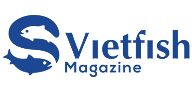 Media Partners